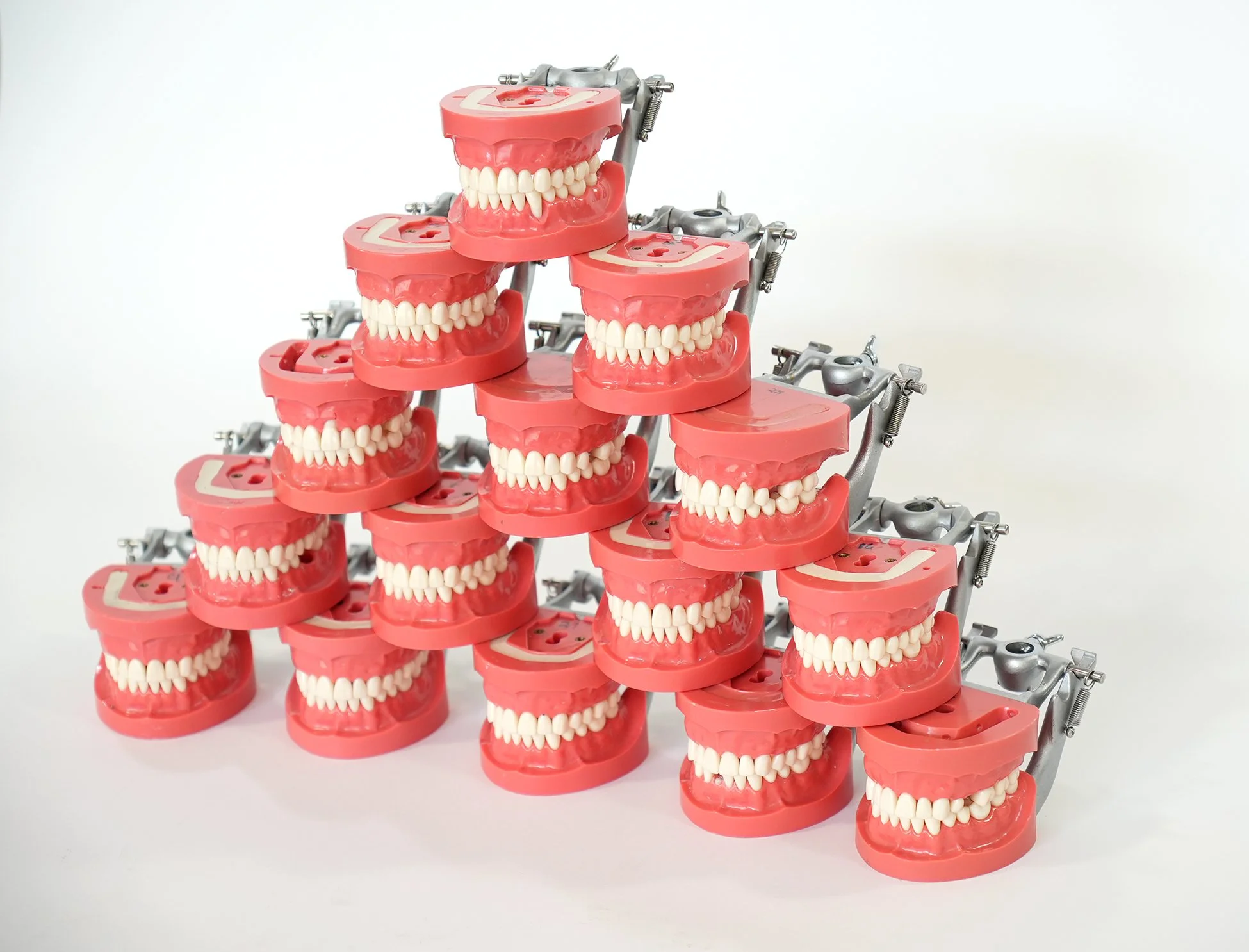 Nissin Professional Teeth Set for Study and Procedure — AGENT